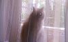 20180531_083722.thumb.jpg.15e56674a6c3855524de972d34cb2cd9.jpg