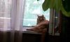 20180531_083733.thumb.jpg.a79fe77e20e99c00ba936229c1804092.jpg