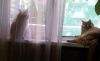 20180531_083743.thumb.jpg.4cdf30e31796fdf8497efe2483963727.jpg