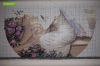 20180601_114826.thumb.jpg.c8ed3e6210d3be7daa8193be2a98d324.jpg