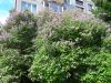 20180609_101902.thumb.jpg.069036dcadcf34e0d5767788553e3039.jpg