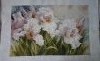 20180609_121633.jpg