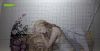 20180611_003922.thumb.jpg.015caa91495eb1d9078f63e0b2c2efd0.jpg
