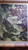 20180612_222355.thumb.jpg.9ba627efbb951ef40e96e06abbdbd9be.jpg