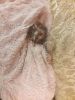 20180615_203852.thumb.jpg.0940be2c46ad14cf80caf4d1f1e46429.jpg