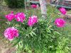 20180616_103536.thumb.jpg.4061d9c29402bb03f2c3ec533b79d3be.jpg