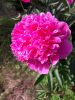 20180616_103542.thumb.jpg.a1d27f1c3d266a7f99775364659c1b1b.jpg