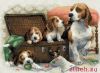 23123.thumb.jpg.7a0a66fe4803b658bb8ff2518d2ce661.jpg