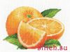 27017.thumb.jpg.f39fabcbbaef6d2cbd6eddf8aa1aaf0e.jpg