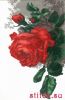 28935.thumb.jpg.4fe27e3a66a45c3f45ec600101a2e8b7.jpg