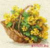 31416.thumb.jpg.e828cfb2dc3f6cb82b951bf349d0ade9.jpg