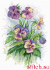 38362.thumb.jpg.9ad60f8a0150ca6c6c933ec6565bee7f.jpg
