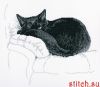 39099.thumb.jpg.49cb0ada0af33aff595b109f5ffcdb3a.jpg