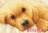 Dimensions 65038, Золотой щенок (Petite Golden Puppy)