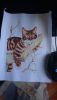 5b21c068c8f71_DSC_05961.thumb.JPG.b2e54e35d2d48a3b5834fe8c49e6712f.JPG