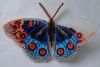 5b2b29b32e006_Butterfly1-1.thumb.jpg.96b8c3647938c23c8647f31cf70c3678.jpg