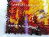 5b32a2f986417_Butterfly-5-3.thumb.jpg.8911cedce26ba0c84593a0f491f745a0.jpg