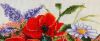 6.thumb.jpg.9984def287a71f866542f0be66fbf11d.jpg