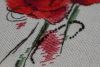 7.thumb.jpg.8d1dc73670ccd5e740e0ea7be068c414.jpg