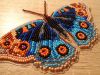 Butterfly1-5.thumb.jpg.f1fe9a9aa0c0777b4379785a781e9b0f.jpg