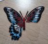 Butterfly2-4.thumb.jpg.52b4d5f10be53424cc99f1fc603dd817.jpg