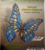 Butterfly6.thumb.jpg.2e5b6537403e00178c7707ea6d9c6ed6.jpg