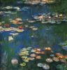 Claude_Mone_Water_Lilies.thumb.jpg.f1be3b40a6f9546214c27a2b5f893043.jpg