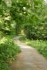 DSC02996.thumb.JPG.4fce55087ccfa9faf0424669a591fcba.JPG