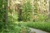 DSC03028.thumb.JPG.2ae8f093ec72e73e406f0c894ffd8707.JPG