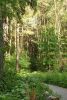 DSC03029.thumb.JPG.8000c09fe990cf124a0902e2080d54b7.JPG
