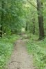 DSC03084.thumb.JPG.cabb2f3c1b44951b923624ddb2e462cd.JPG