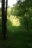 DSC03088.thumb.JPG.8313f37c4b85521a809a25c2c616a60f.JPG
