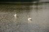 DSC03352.thumb.JPG.45306bfdedb1c01bd524228be0f72507.JPG