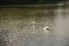 DSC03355.thumb.JPG.e3ecb05e7623f896a80f2b8cdb76fdee.JPG