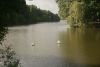 DSC03361.thumb.JPG.0b5a43ab4156cadd5d488d5e79dd135b.JPG