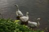 DSC03362.thumb.JPG.789a5cc67d36b50a8e86c91bd8c95e3e.JPG