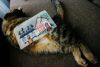 DSC08018.thumb.JPG.c7659e8f9047d96e2f389bbed6b8a288.JPG