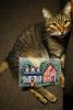DSC08036.thumb.JPG.d8a495a2d330739305fddfaf0a3bb044.JPG