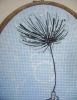 DSC08343.thumb.JPG.f08a0ddbccfa0823f284a2a234db1d6d.JPG