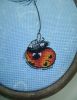 DSC08344.thumb.JPG.f540a637c6ff97ae098055ceeb9b0003.JPG