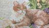 DSC_0058.thumb.JPG.5ef2eb6d4a4486c9c986ba96db7d0b5c.JPG
