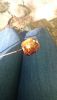 DSC_0085.thumb.JPG.64b8dfee0e72f97f2b11779afdee382e.JPG