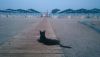 DSC_0187.thumb.JPG.d7e84b1d448728dd9bfdbfc26b0df5c7.JPG
