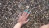 DSC_0345.thumb.JPG.453c43130bd1eec723679825d40e1b1e.JPG