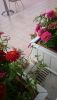 DSC_0420.thumb.JPG.1dc8d146cc0c4eb0987c591b7ddb08db.JPG