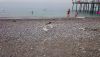 DSC_0430.thumb.JPG.e9273a38aac6964233db6e5122db6899.JPG