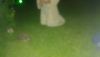 DSC_0440.thumb.JPG.bcade5981a73c1ea77a635c62aaccfe4.JPG