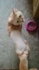 DSC_0524.thumb.JPG.52e4b4a84e17865c0cd45a03a9cea5f7.JPG