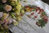 DSC_1704.thumb.jpg.d71c86ce003a00a1623ce8b4016f7877.jpg
