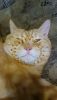DSC_6829.thumb.JPG.a873fd45a6e28bfc18d2d962680a5533.JPG